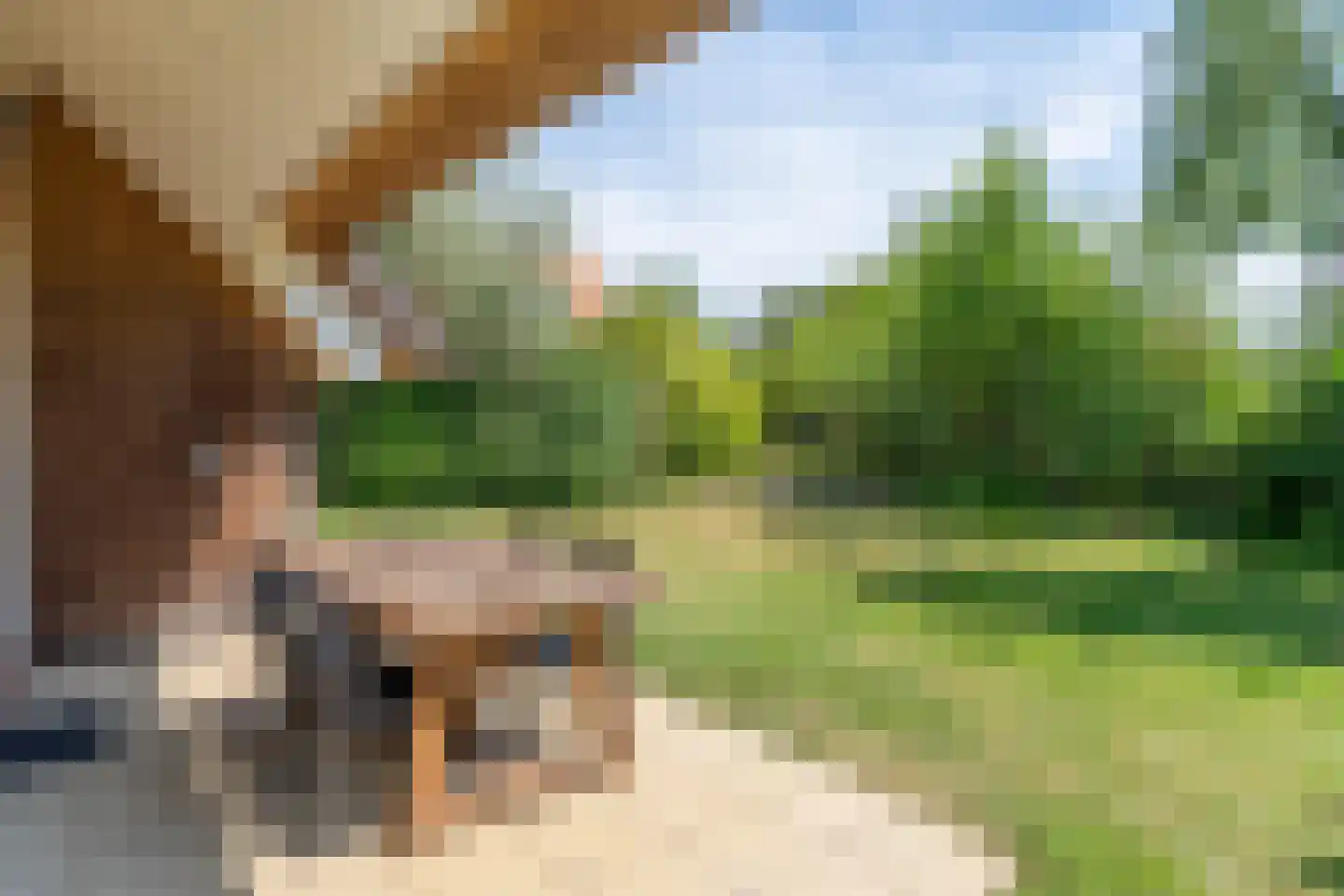 Zeedijk 24 166 Nieuwvliet thumbnail 7