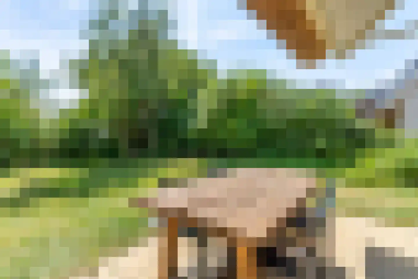 Zeedijk 24 166 Nieuwvliet thumbnail 8