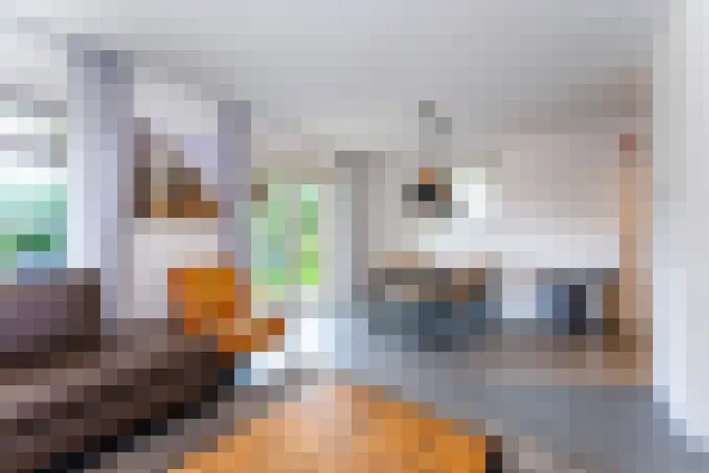 Zeedijk 24 170 Nieuwvliet thumbnail 10