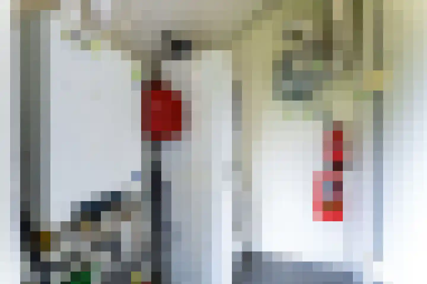 Zeedijk 24 170 Nieuwvliet thumbnail 12