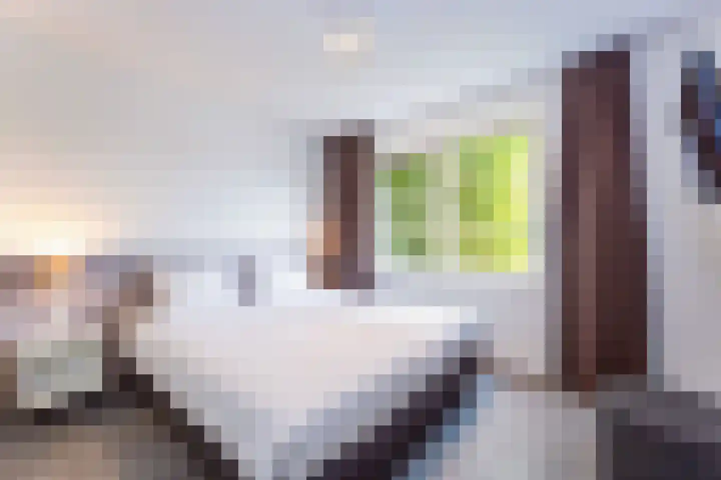 Zeedijk 24 170 Nieuwvliet thumbnail 13