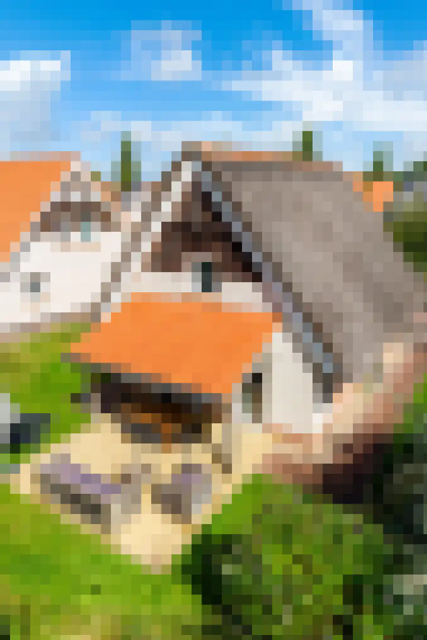 Zeedijk 24 170 Nieuwvliet thumbnail 22