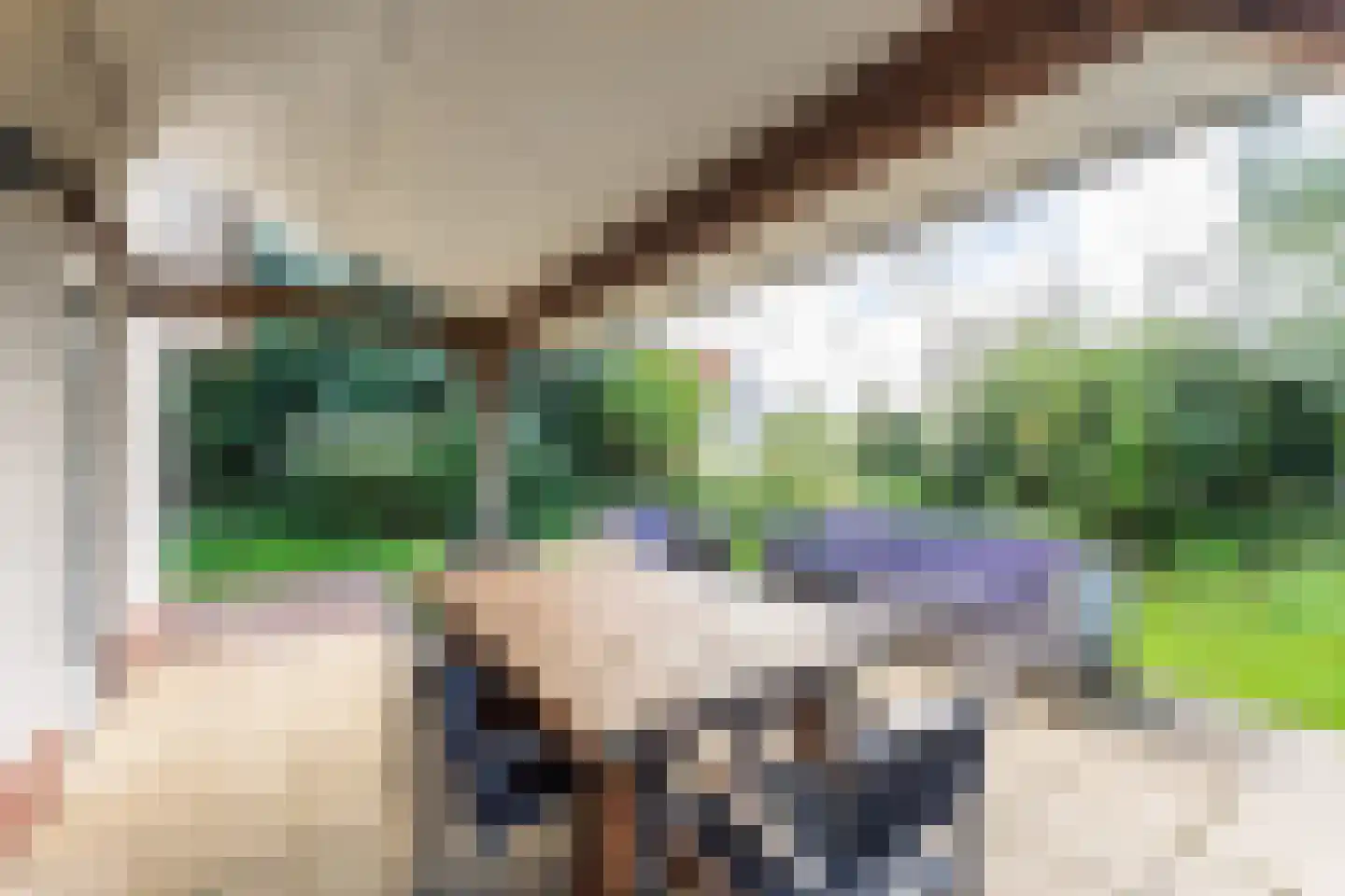 Zeedijk 24 170 Nieuwvliet thumbnail 6