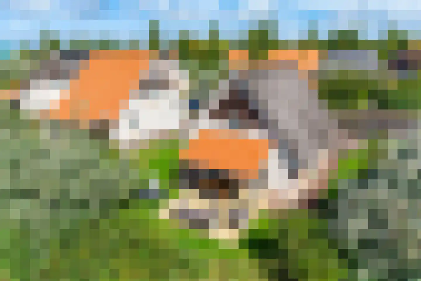 Zeedijk 24 170 Nieuwvliet thumbnail 7