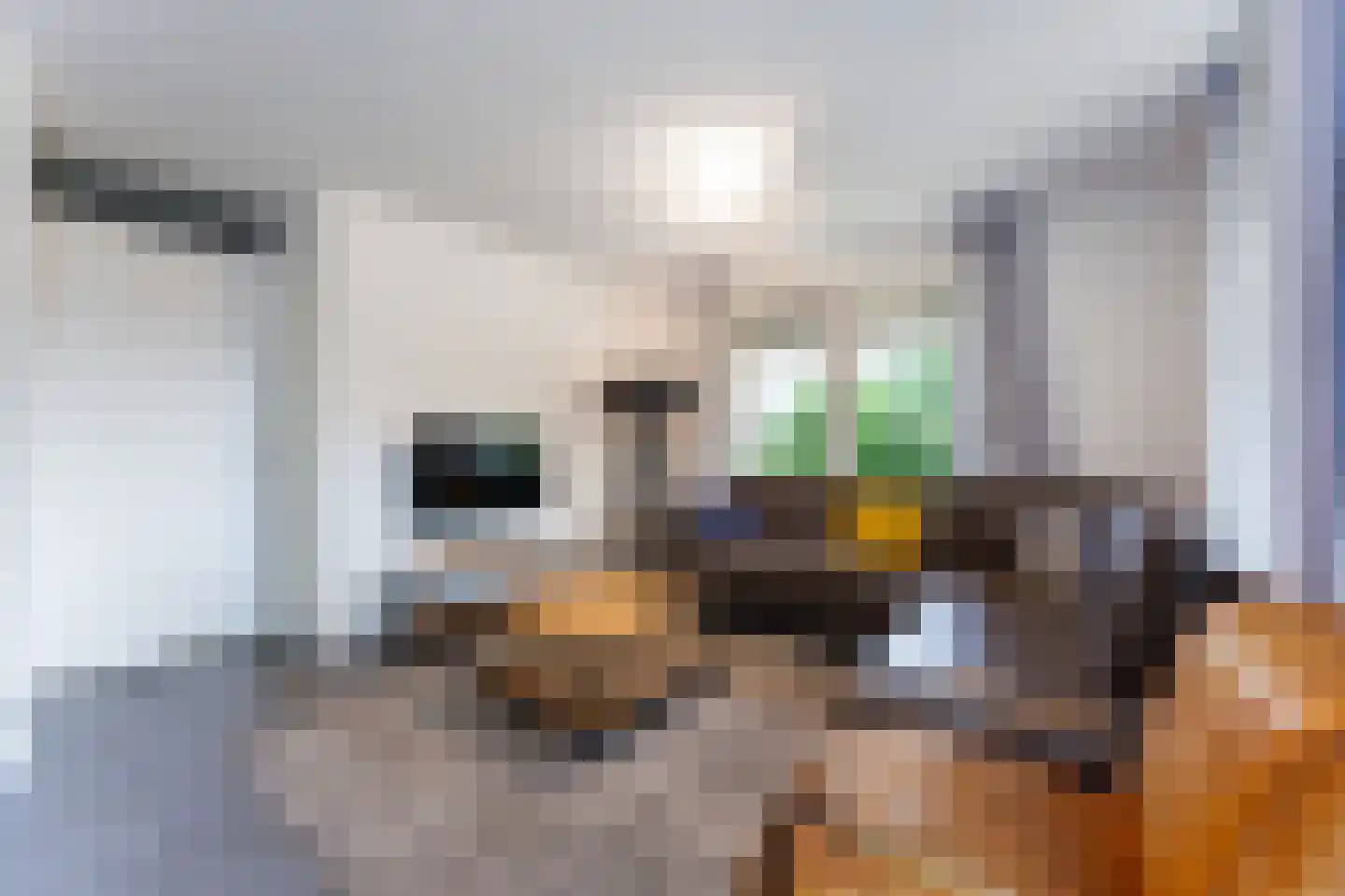 Zeedijk 24 170 Nieuwvliet thumbnail 9
