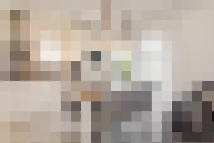 Zeedijk 24 175 Nieuwvliet thumbnail 10