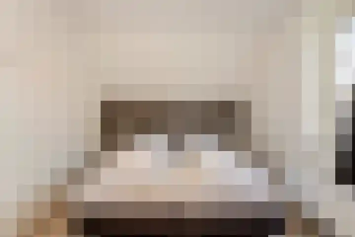 Zeedijk 24 175 Nieuwvliet thumbnail 12