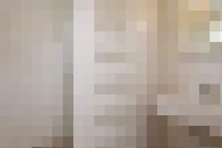 Zeedijk 24 175 Nieuwvliet thumbnail 14