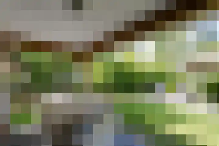 Zeedijk 24 175 Nieuwvliet thumbnail 17