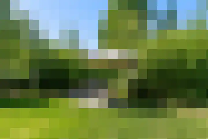 Zeedijk 24 175 Nieuwvliet thumbnail 18