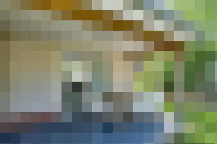 Zeedijk 24 175 Nieuwvliet thumbnail 19