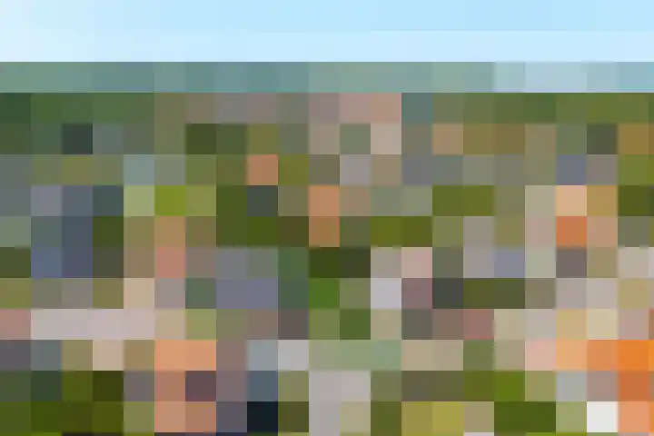 Zeedijk 24 175 Nieuwvliet thumbnail 23