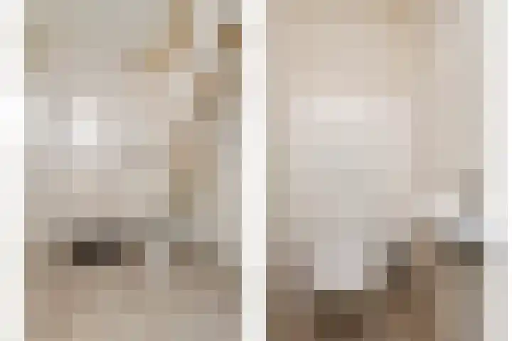 Zeedijk 24 175 Nieuwvliet thumbnail 24