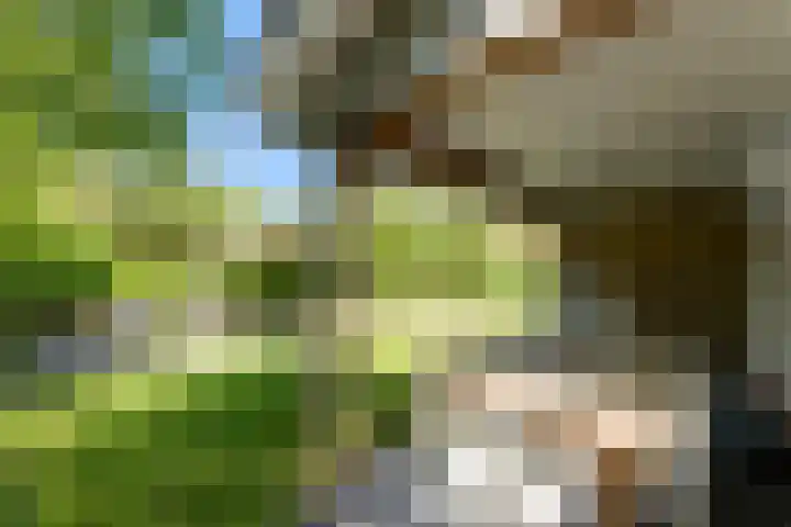 Zeedijk 24 175 Nieuwvliet thumbnail 4