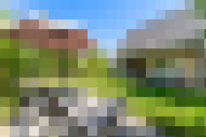Zeedijk 24 175 Nieuwvliet thumbnail 5