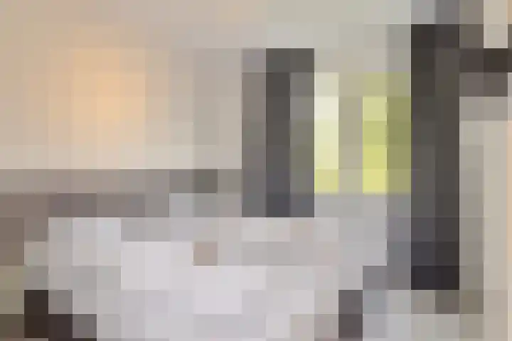 Zeedijk 24 175 Nieuwvliet thumbnail 6