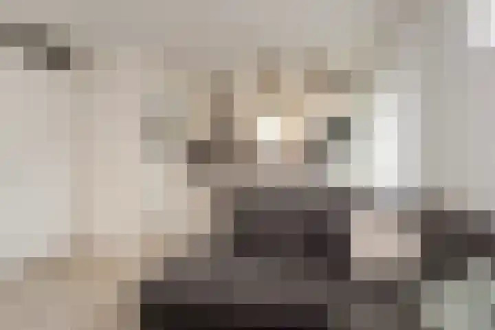 Zeedijk 24 175 Nieuwvliet thumbnail 8