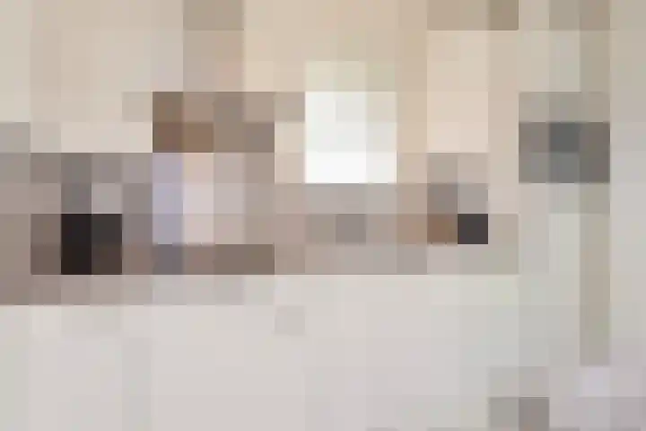 Zeedijk 24 175 Nieuwvliet thumbnail 9