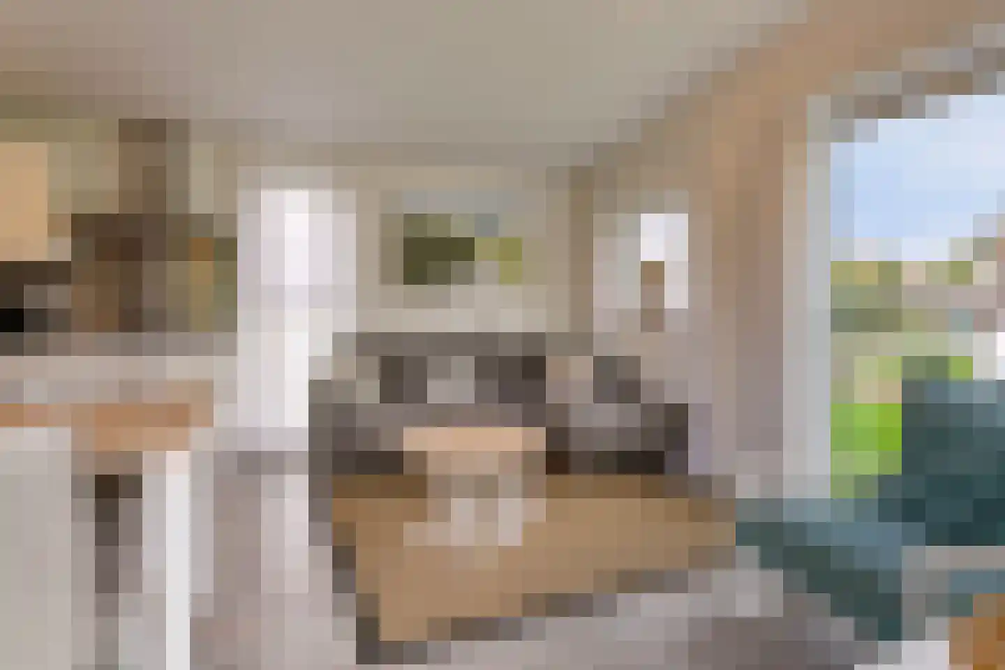 Zeedijk 24 195 Nieuwvliet thumbnail 10