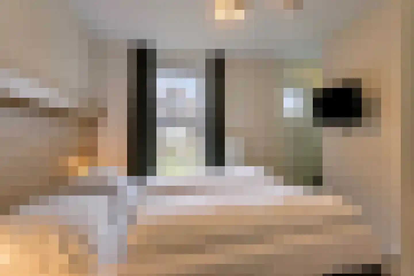 Zeedijk 24 195 Nieuwvliet thumbnail 14