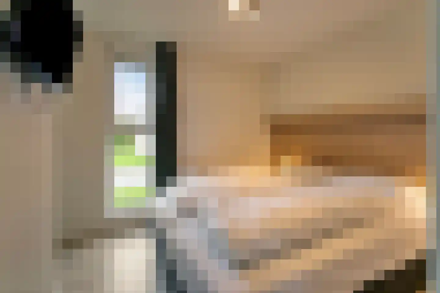 Zeedijk 24 195 Nieuwvliet thumbnail 19