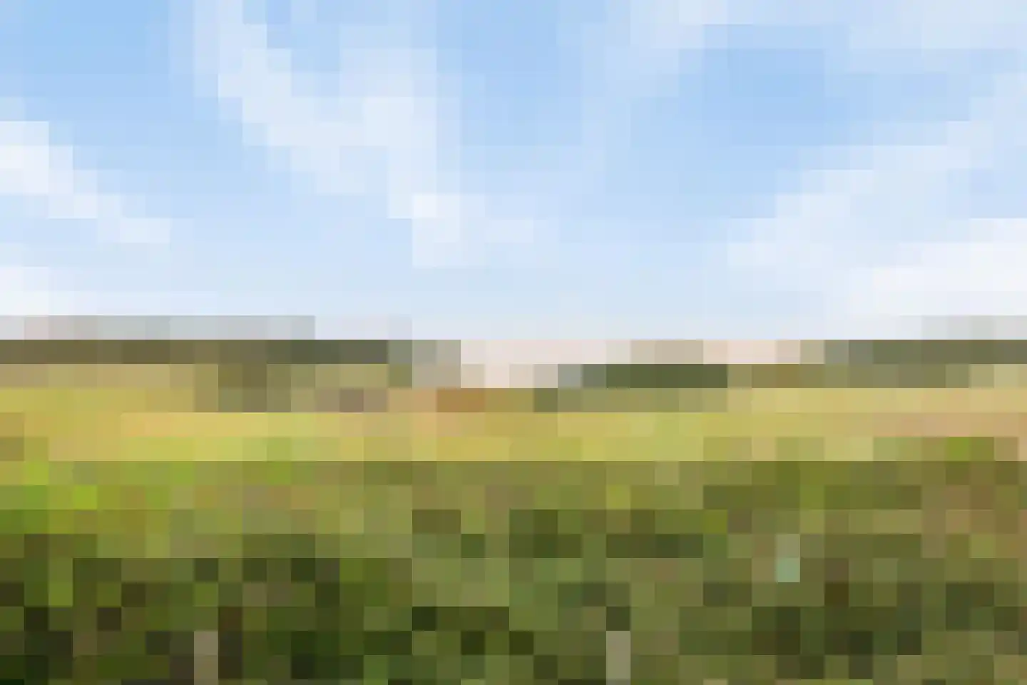 Zeedijk 24 195 Nieuwvliet thumbnail 6