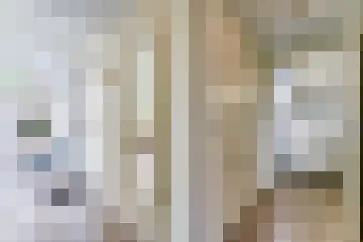 Zeedijk 24 197 Nieuwvliet thumbnail 11