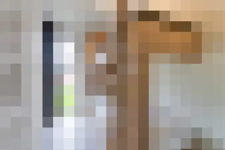Zeedijk 24 197 Nieuwvliet thumbnail 15