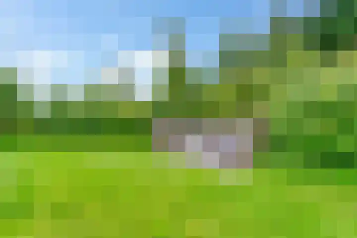 Zeedijk 24 197 Nieuwvliet thumbnail 5