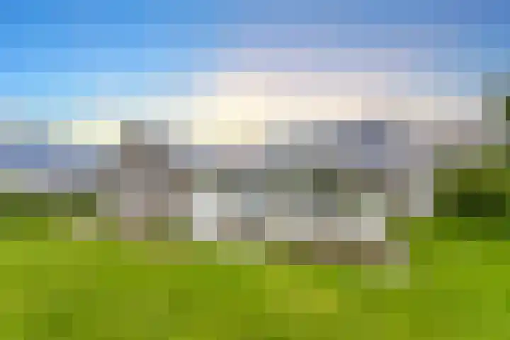 Zeedijk 24 197 Nieuwvliet thumbnail 6