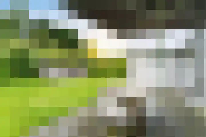 Zeedijk 24 197 Nieuwvliet thumbnail 7