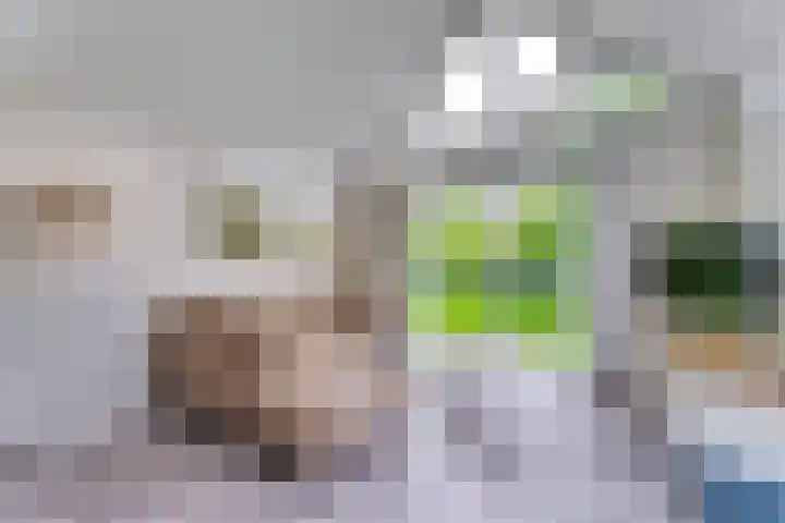 Zeedijk 24 197 Nieuwvliet thumbnail 9