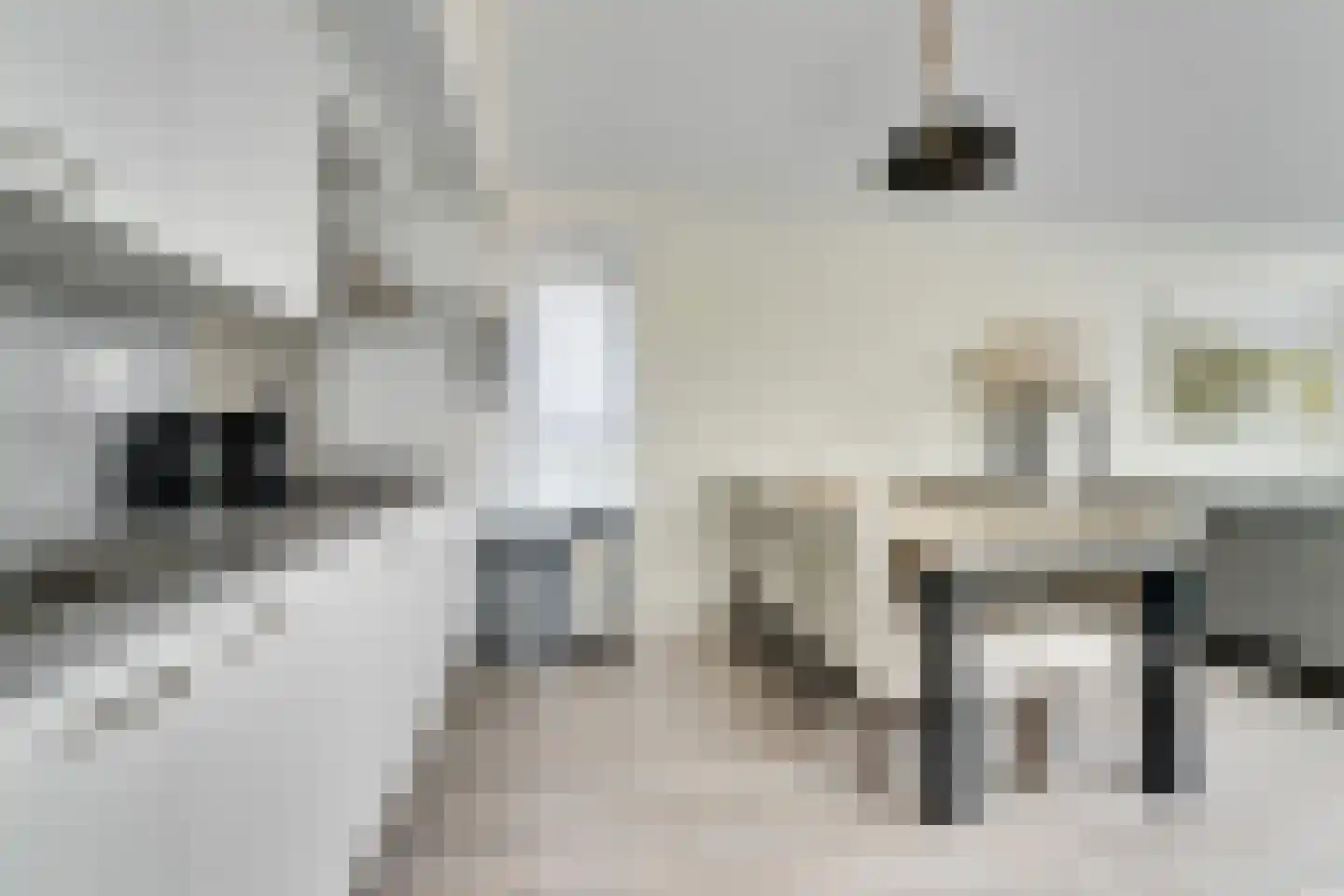 Zeedijk 24 230 Nieuwvliet thumbnail 11