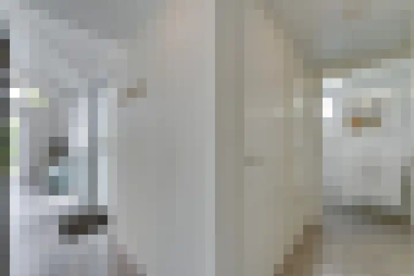 Zeedijk 24 230 Nieuwvliet thumbnail 12