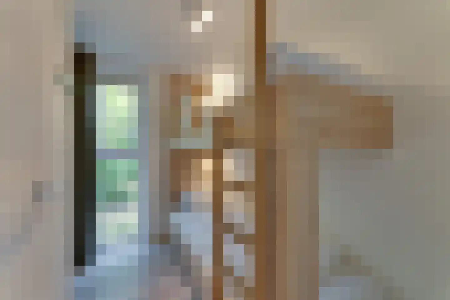 Zeedijk 24 230 Nieuwvliet thumbnail 13