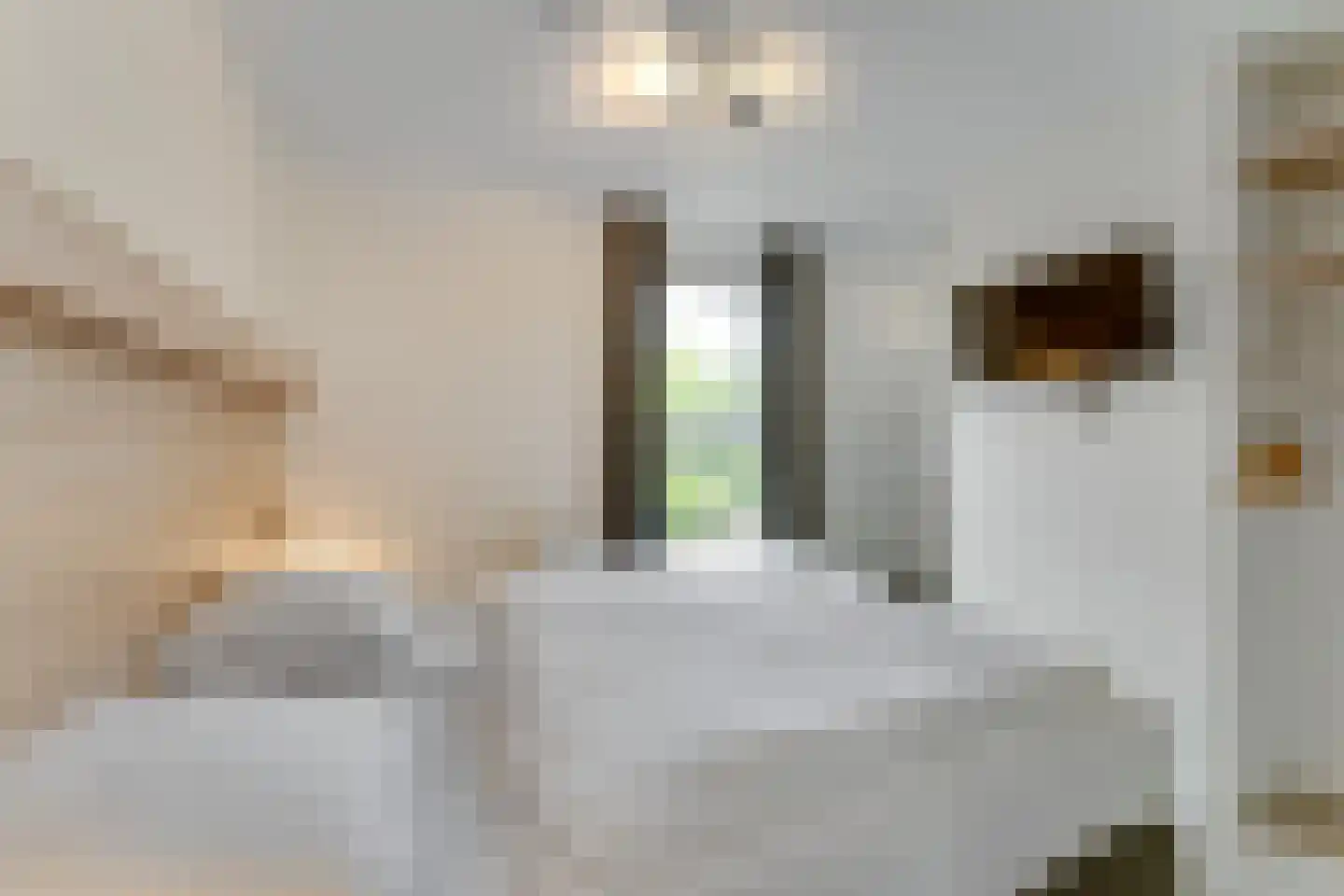 Zeedijk 24 230 Nieuwvliet thumbnail 14