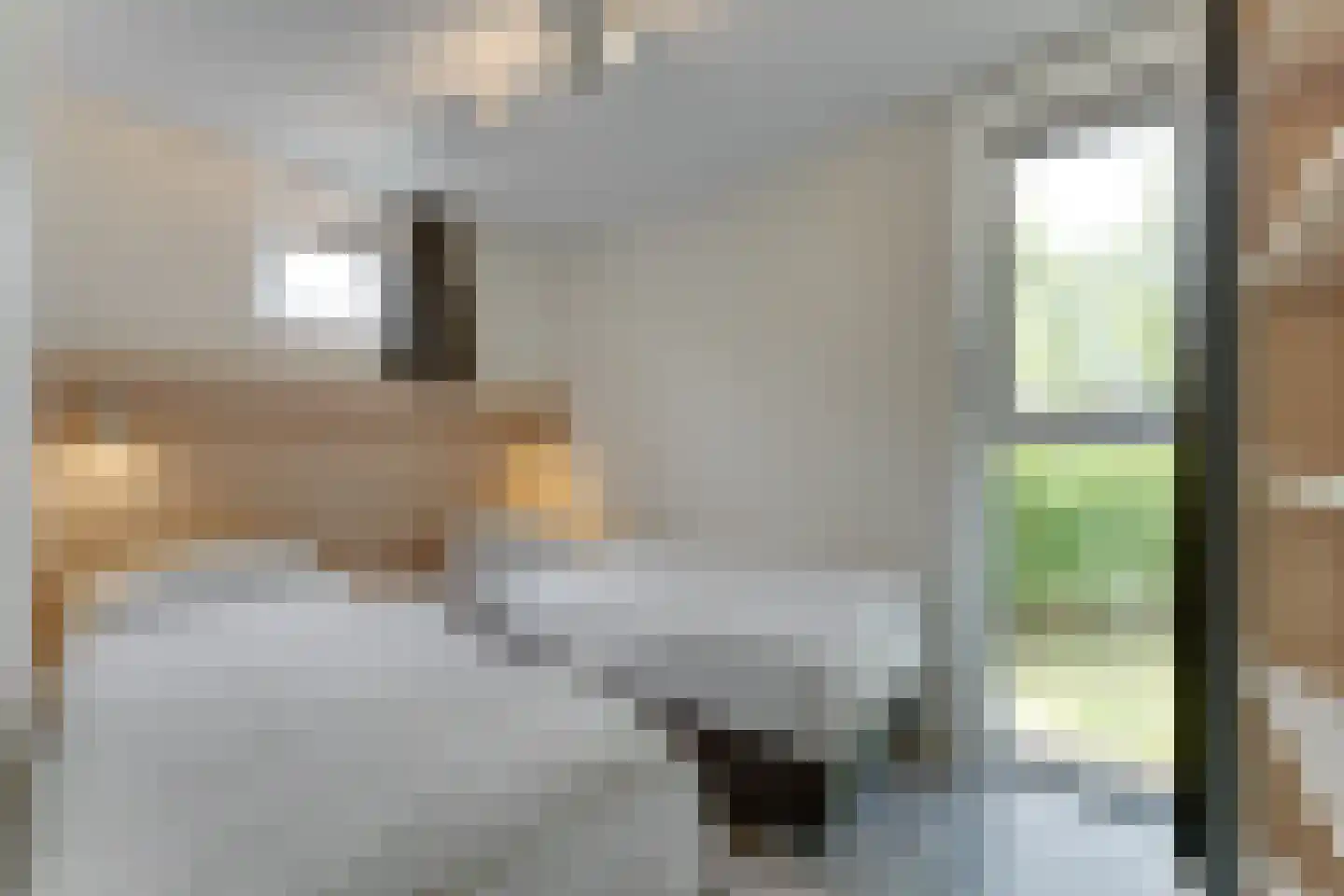 Zeedijk 24 230 Nieuwvliet thumbnail 16