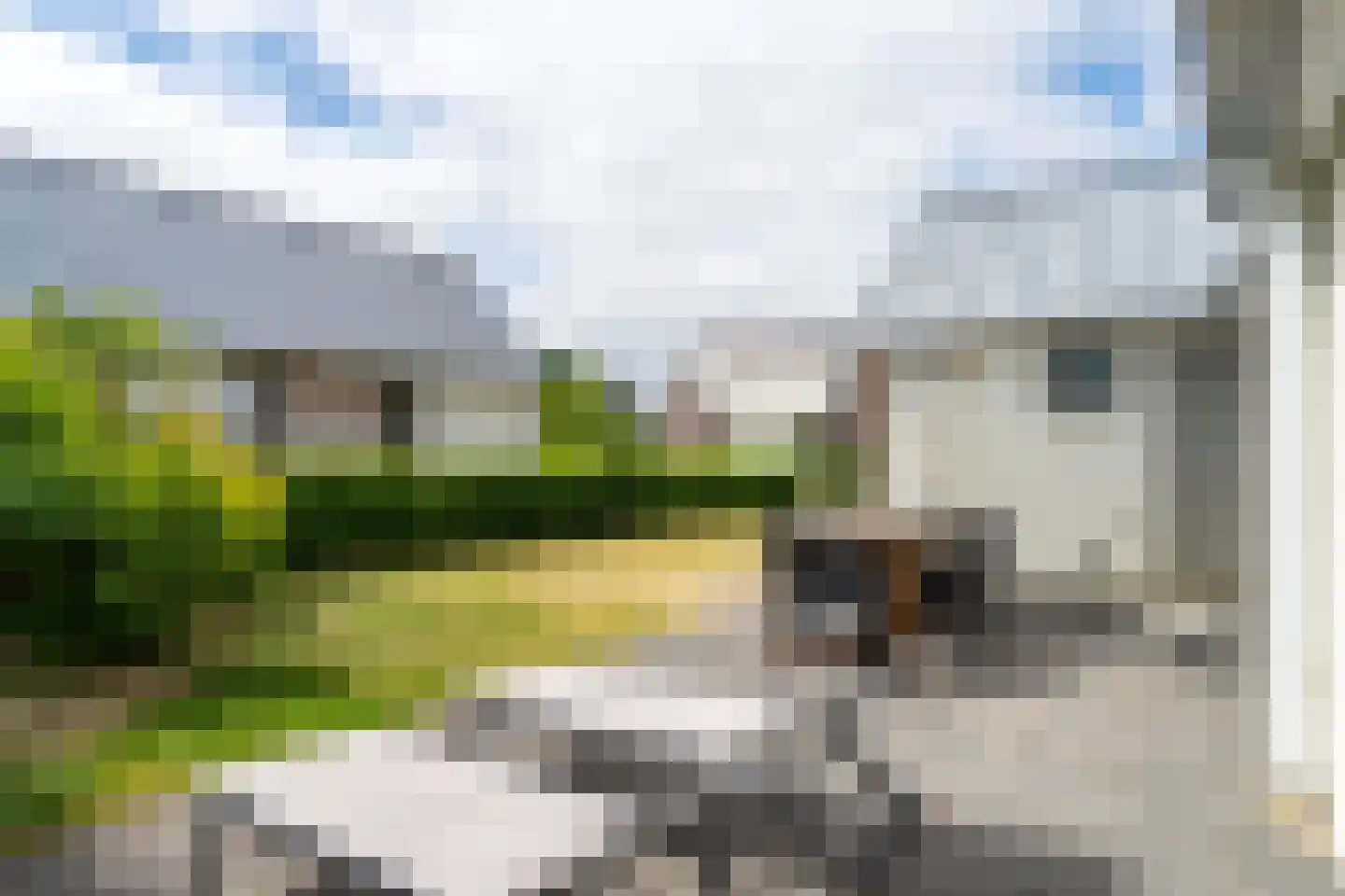 Zeedijk 24 230 Nieuwvliet thumbnail 20