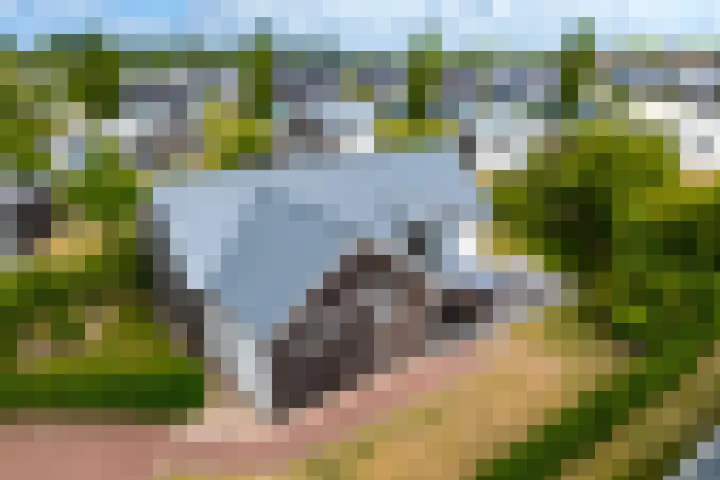 Zeedijk 24 230 Nieuwvliet thumbnail 22