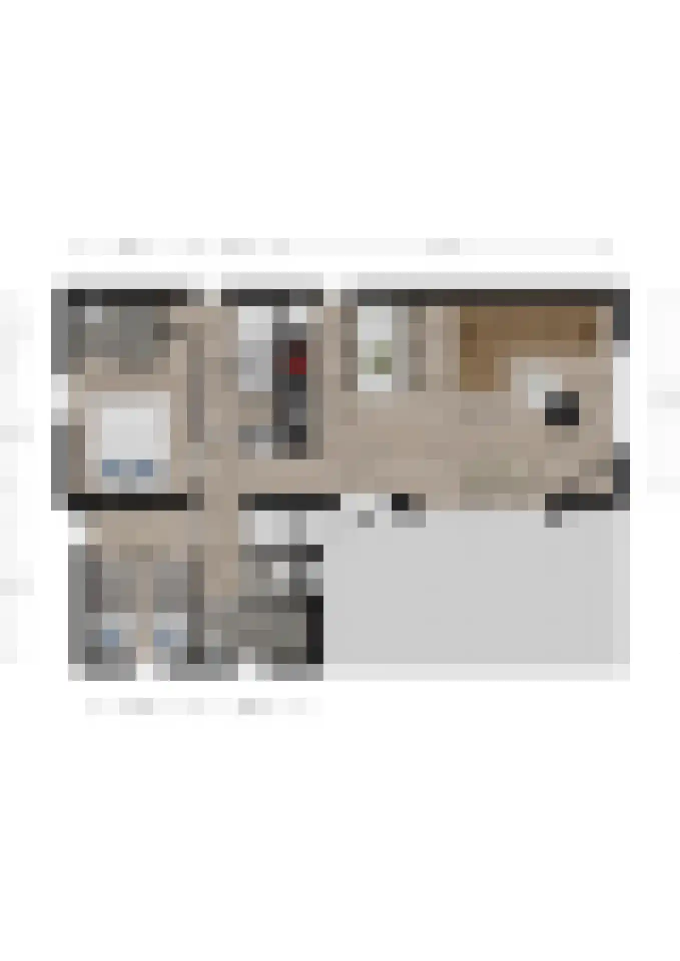 Zeedijk 24 230 Nieuwvliet thumbnail 25