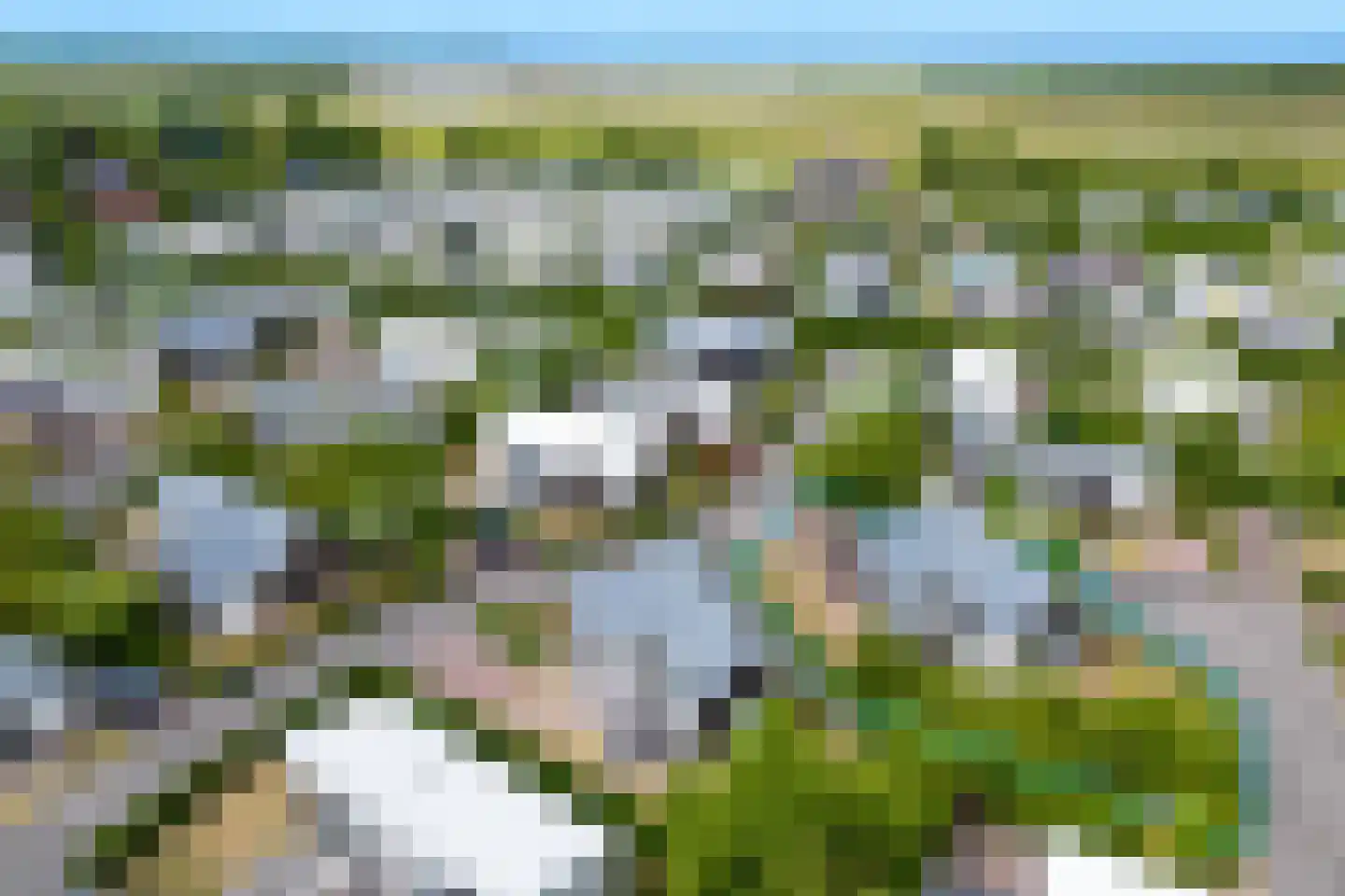 Zeedijk 24 230 Nieuwvliet thumbnail 5
