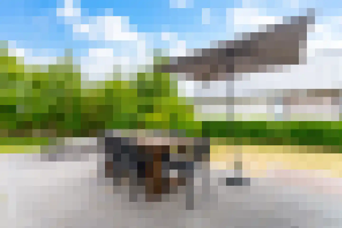 Zeedijk 24 230 Nieuwvliet thumbnail 7