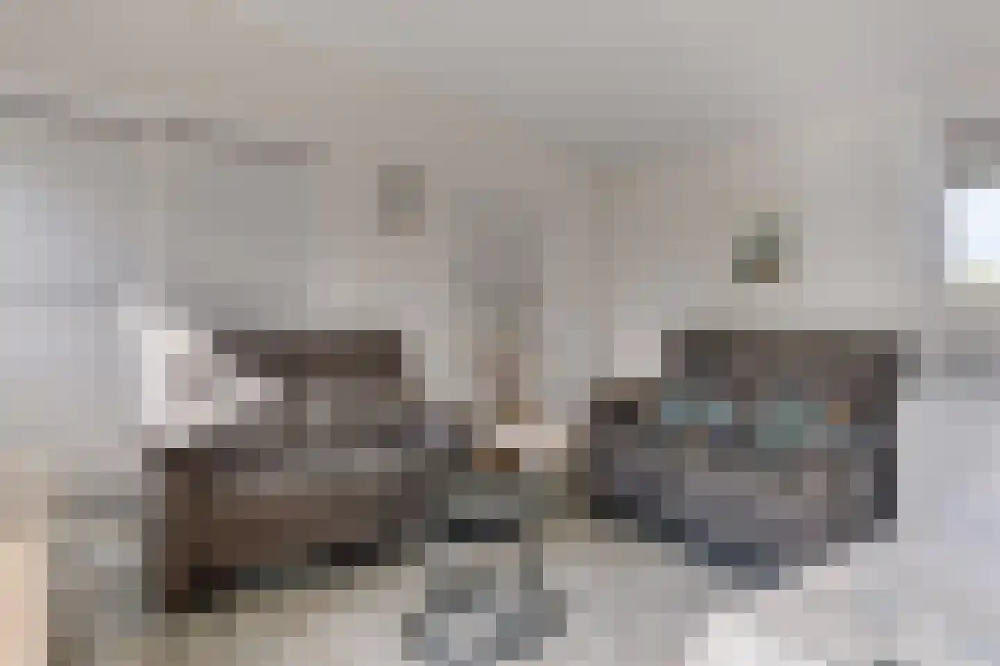 Zeedijk 24 236 Nieuwvliet thumbnail 10