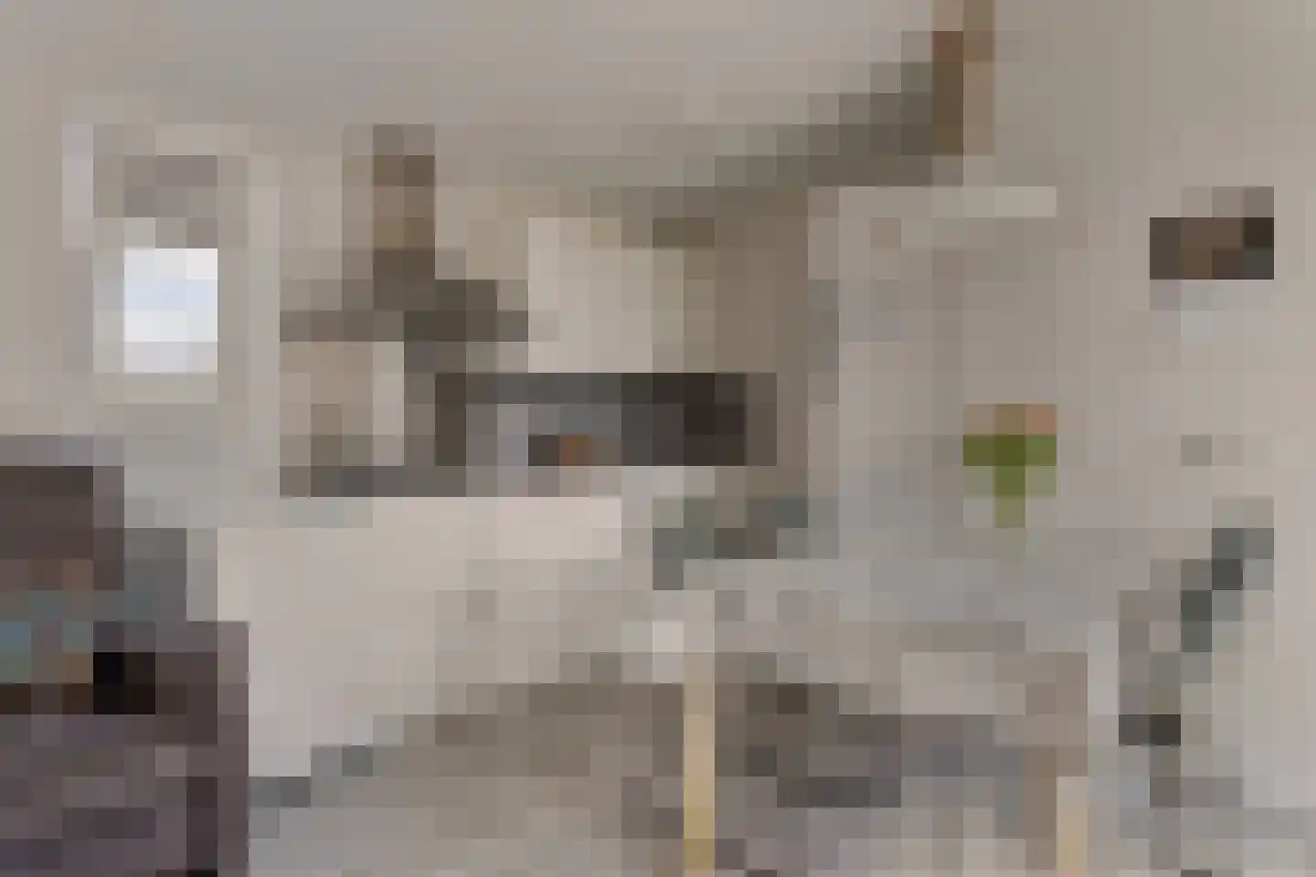 Zeedijk 24 236 Nieuwvliet thumbnail 4