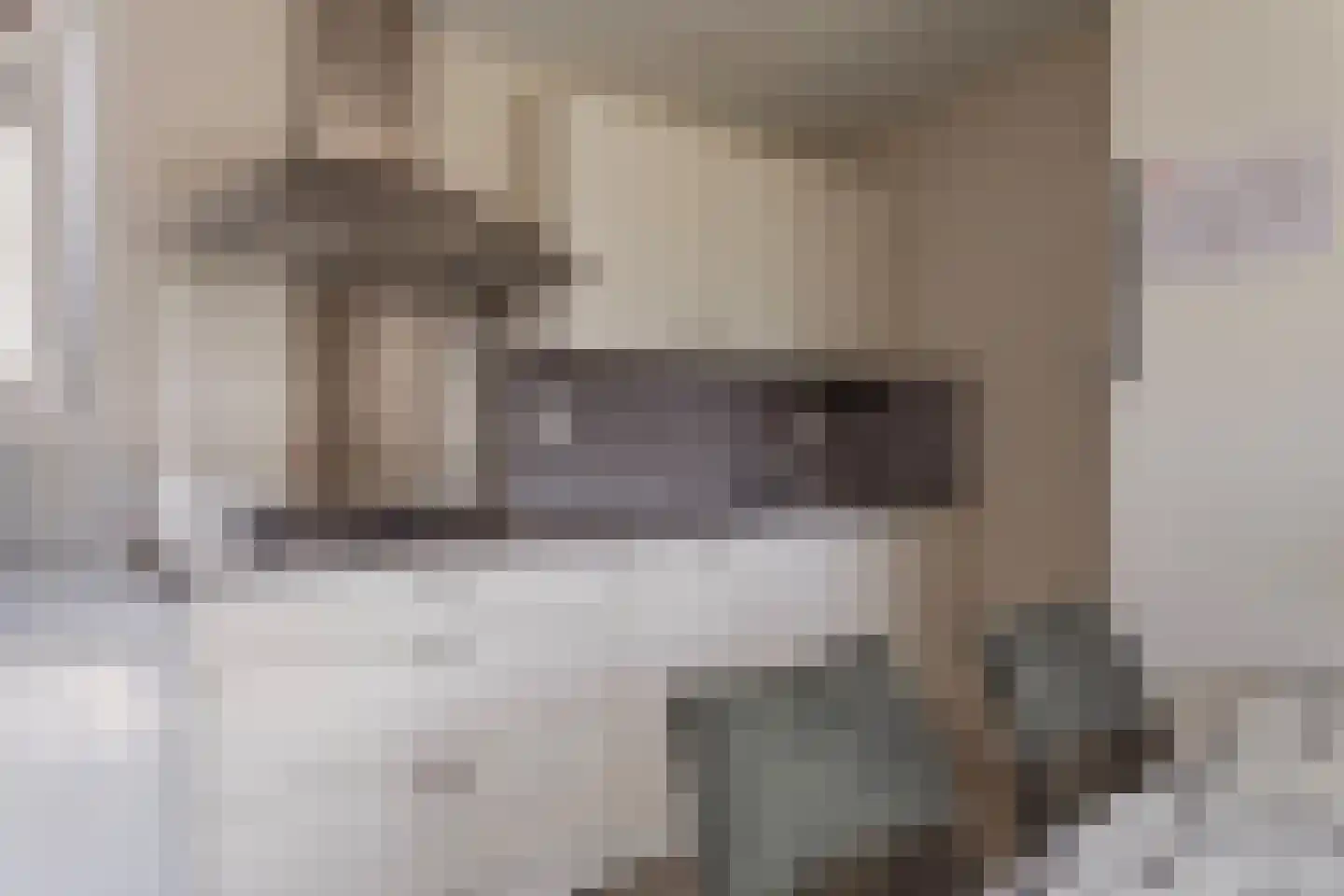 Zeedijk 24 236 Nieuwvliet thumbnail 9