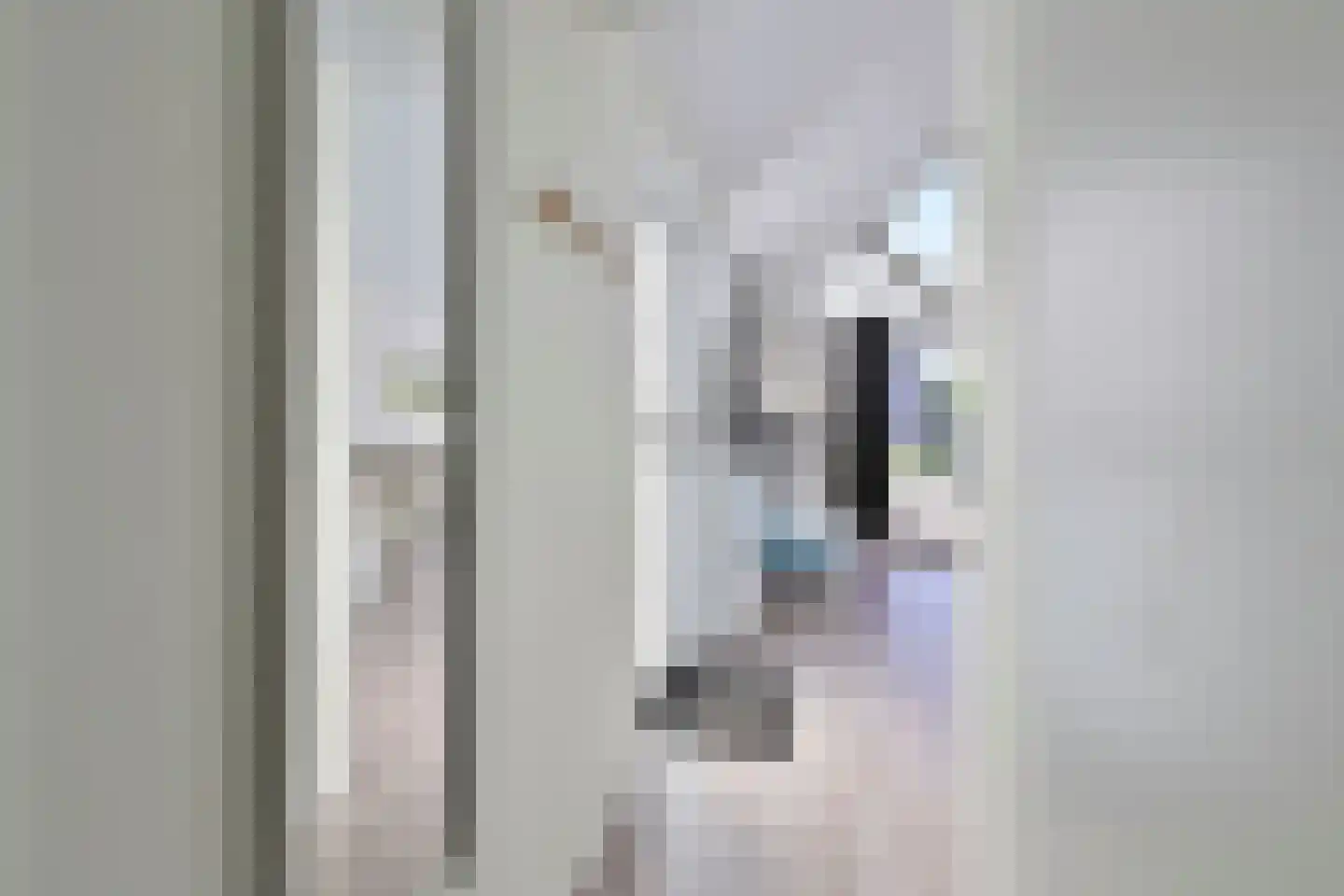 Zeedijk 24 242 Nieuwvliet thumbnail 14