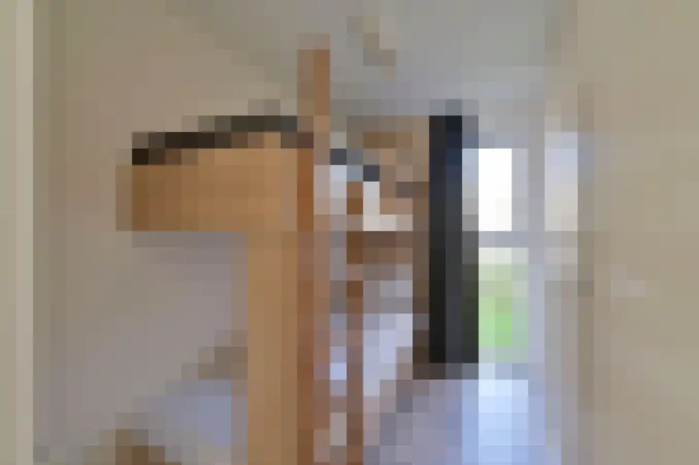 Zeedijk 24 242 Nieuwvliet thumbnail 15