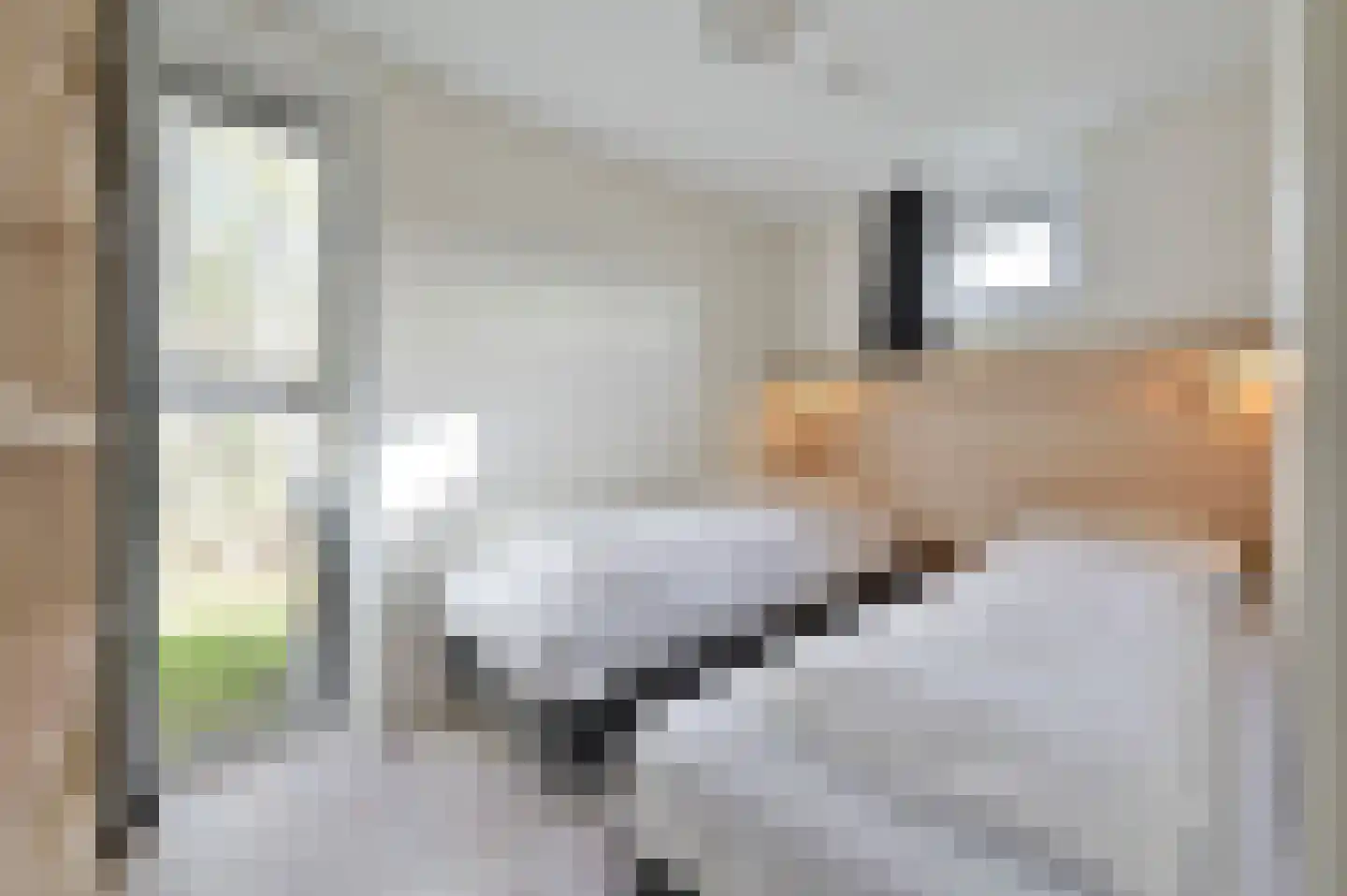 Zeedijk 24 242 Nieuwvliet thumbnail 17