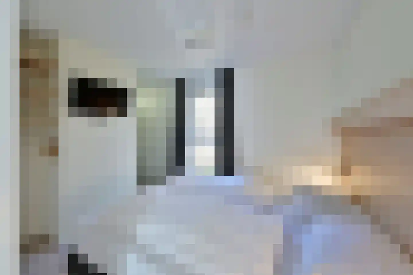 Zeedijk 24 242 Nieuwvliet thumbnail 4