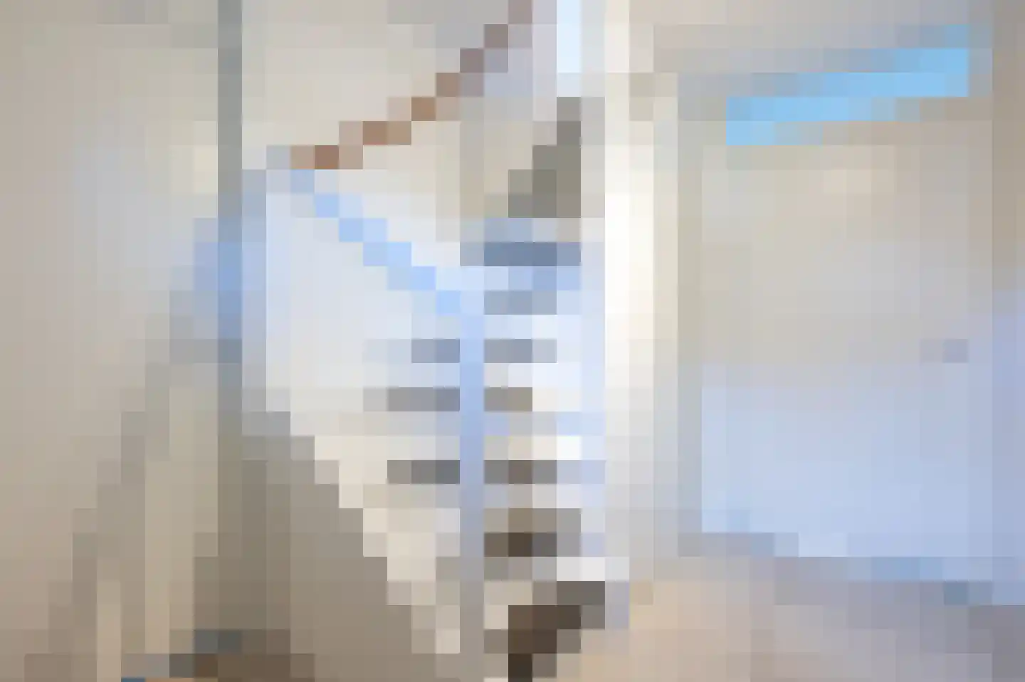 Zeedijk 24 269 Nieuwvliet thumbnail 19